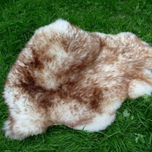 decorative mouflon sheep-skins